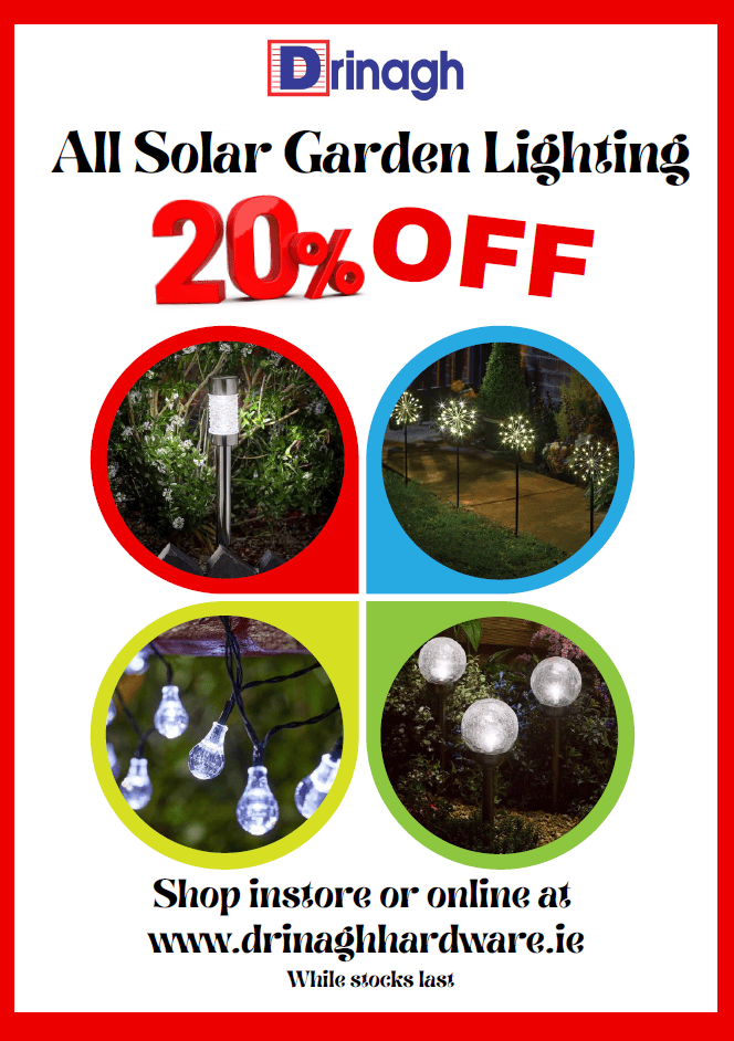 Solar Garden Lights