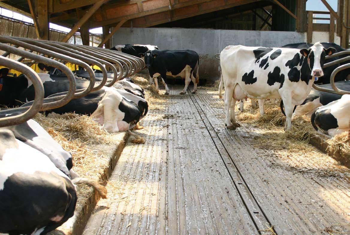 March 2026 Management Newsletter