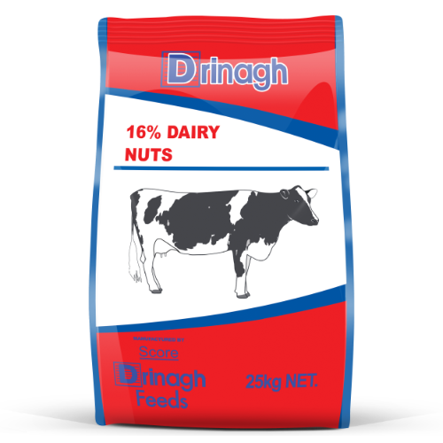Score 16% Dairy Nuts