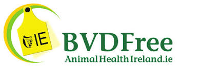 Bovine Viral Diarrhoea (BVD)