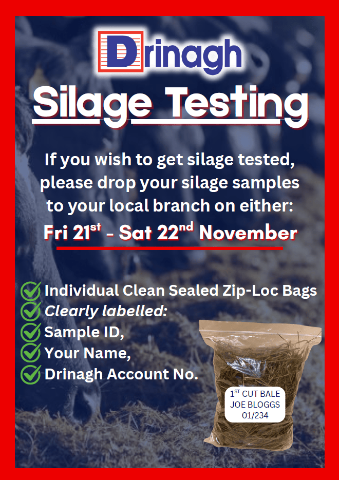 November 2025 Dairy Newsletter