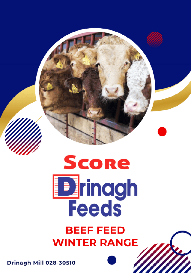 Drinagh Feeds - Beef Feed Winter Range