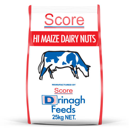 Score Hi Maize Dairy Range