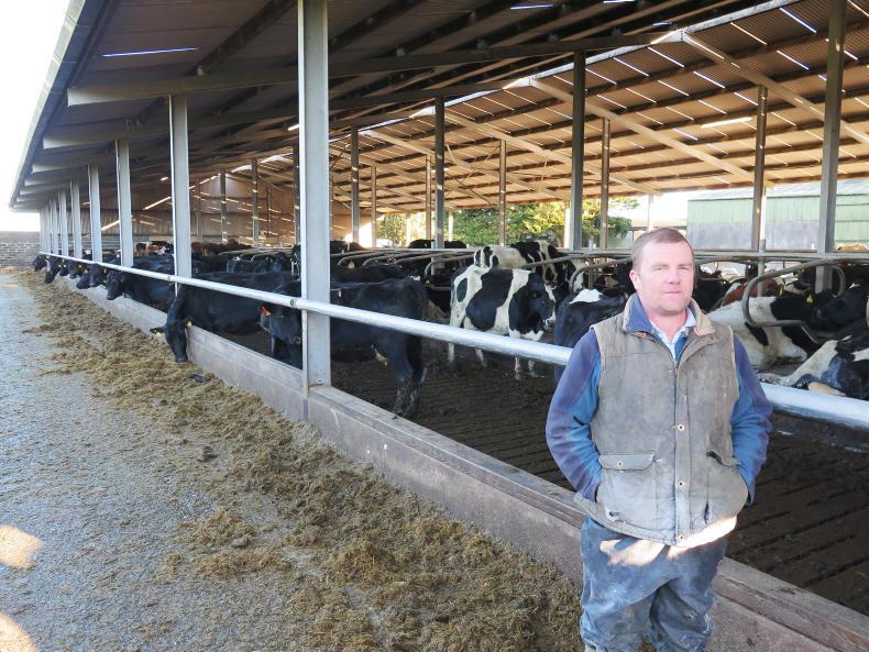 Shinagh Dairy Farm Report: Feb 2015