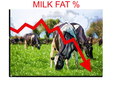 Milk Fat Percentage