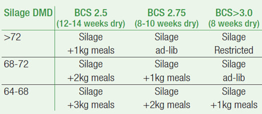 body condition scoring