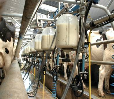 September 2020 Dairy Newsletter