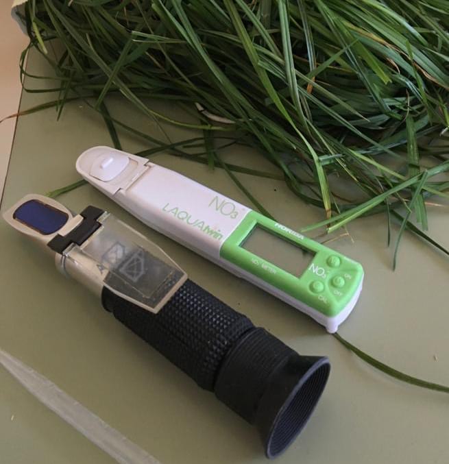 grass ensilability testing