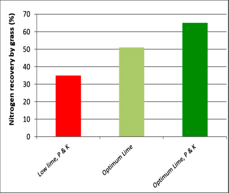 nitrogen recovery